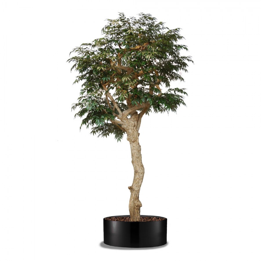 Planta semi-artificiala Ila, Myrsifolia Nidra Lux Green - 320 cm
